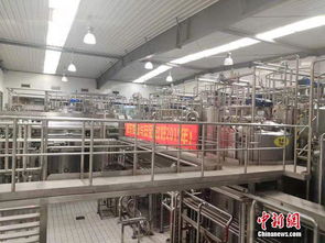 探访浙江食品生产 标杆 企业 听质量把控 好故事